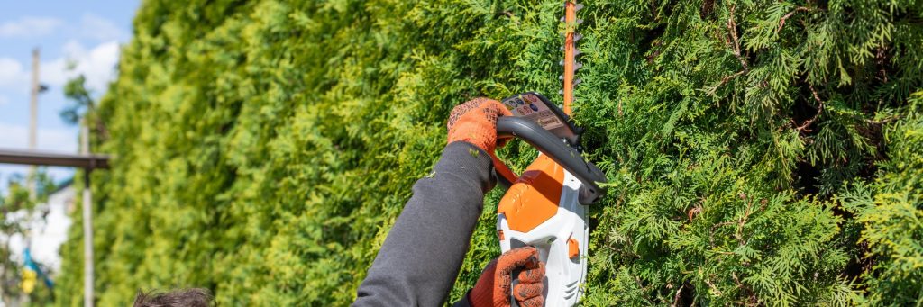 Handyman and Landscaping Services in Las Vegas, NV
