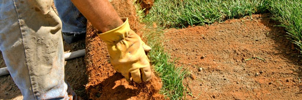 Handyman and Landscaping Services in Las Vegas, NV