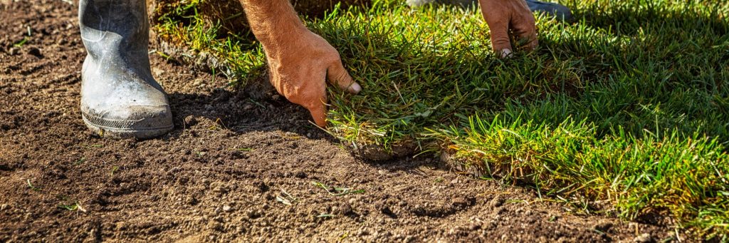 Handyman and Landscaping Services in Las Vegas, NV